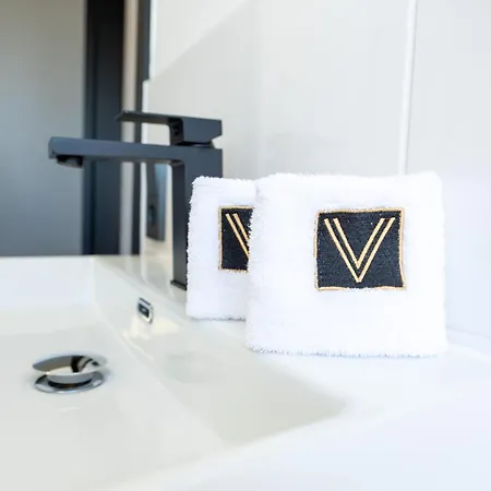 Hotel V Business 3*